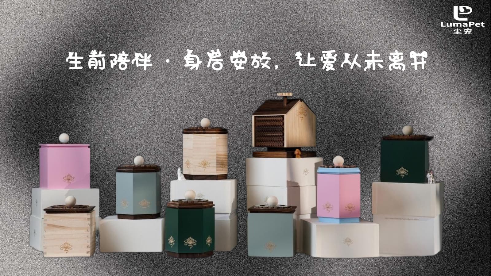 尘宠 LumaPet